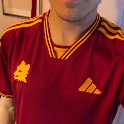 ValeMoroni's profile picture. 