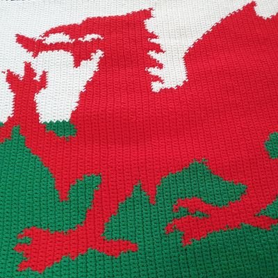 Cardiff & Wales fan🏉proud Welsh 🏴󠁧󠁢󠁷󠁬󠁳󠁿Pro EU🇪🇺, passionately anti injustice & inequality. Never voted Tory. She/her.
#IndyWales #Annibyniaeth #Woke