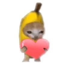 tiktok : ryoujai (╹◡╹)♡ i hope you have a wonderful day (I usually don't reply to tweets, pls DM!) https://t.co/cwOcNGXew5