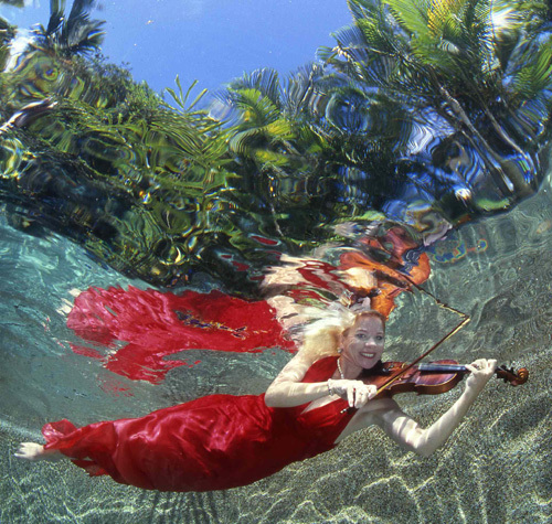 ParadiseConcert's profile picture. A stellar array of international artists performing the intimate and dynamic repertoire of classical chamber music in the tropical paradise of Cairns.