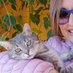 🌺Lucy🌺 (@luciasandulli1) Twitter profile photo 🌺Lucy🌺 (@luciasandulli1) Twitter profile photo