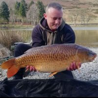 shakey (@shakey1380) 's Twitter Profile Photo shakey (@shakey1380) 's Twitter Profile Photo