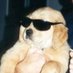 memes feos yo qué sé (@memefeos) Twitter profile photo memes feos yo qué sé (@memefeos) Twitter profile photo