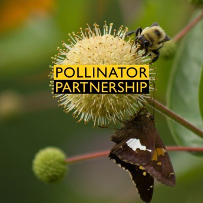 The official Twitter feed for the nonprofit Pollinator Partnership, who protects pollinators through conservation, education, and research.