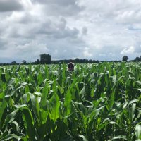 Harley McPhail (@hmcphail5) 's Twitter Profile Photo