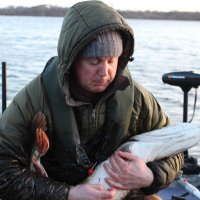 Ian Bailey (@ianbailey86) 's Twitter Profile