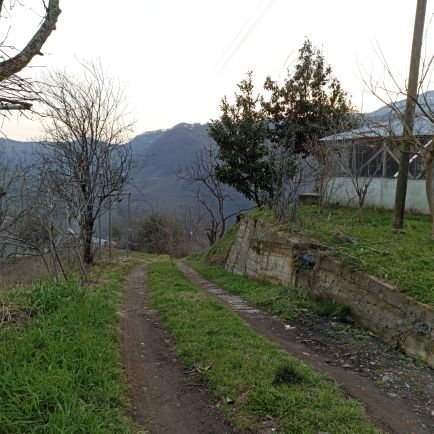 yalovaonline's profile picture. online