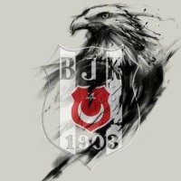 Black Eagle(@memduhicoz) 's Twitter Profile Photo