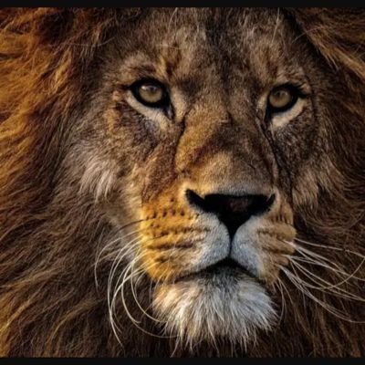 K92732105's profile picture. 