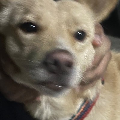 a6mhr's profile picture. 