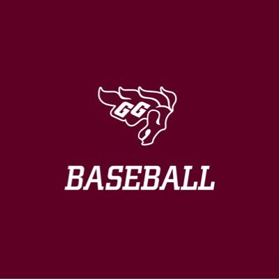 GeeGeesBaseball Profile Picture