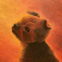三賀 亮介(ミカ リョウスケ) (@3ryocp) 's Twitter Profile Photo 三賀 亮介(ミカ リョウスケ) (@3ryocp) 's Twitter Profile Photo