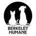 Berkeley Humane (@berkeleyhumane) Twitter profile photo Berkeley Humane (@berkeleyhumane) Twitter profile photo