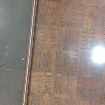 HugoEnuePe19's profile picture. Great cat lover