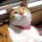 rocio6473_6's profile image