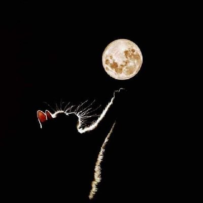 Spicegirl2579's profile picture. 