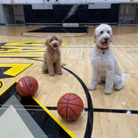 Evan Massey (@masseybball) 's Twitter Profile Photo Evan Massey (@masseybball) 's Twitter Profile Photo