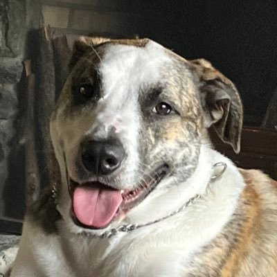 lvwintersweet's profile picture. lcsw-c, mental health, birds, plants, herps, a little bit of Girl Scouts