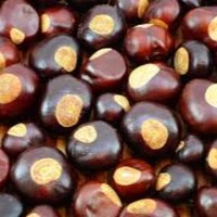 Max Buckeyez (@maxbuckeyez) 's Twitter Profile