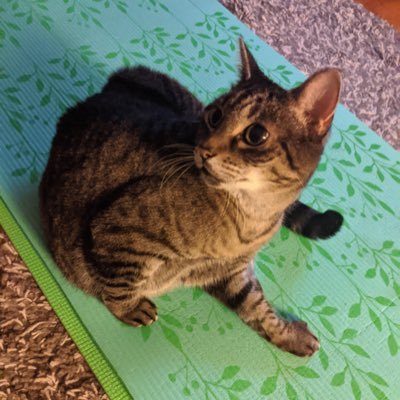 _Angry_Penny's profile picture. Angry.