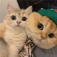 每日大赛⭐️ (@meiribisai6) 's Twitter Profile Photo 每日大赛⭐️ (@meiribisai6) 's Twitter Profile Photo
