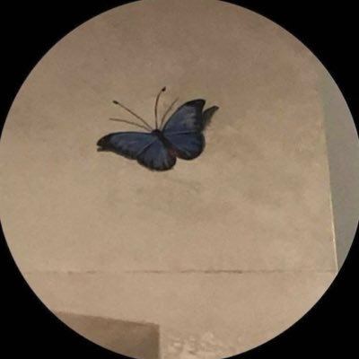 _vi__12's profile picture. 