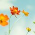 .NFT Domains (@sameer57221382) Twitter profile photo .NFT Domains (@sameer57221382) Twitter profile photo