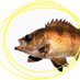 Main Theme (@_main_theme_) Twitter profile photo Main Theme (@_main_theme_) Twitter profile photo