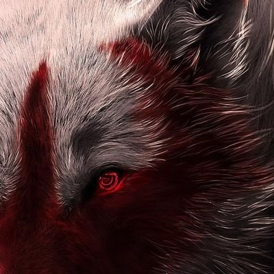 BloodWolf_75 Profile Picture