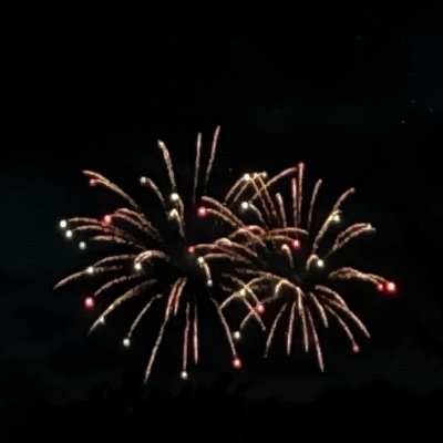 nzcsgz's profile picture. 🧩,anonymous for my privacy, I will accept follow requests if they don’t look like AI