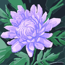 dorcas castro medina - @dorc93648 - Twitter