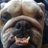 aaronwadebailey's profile image