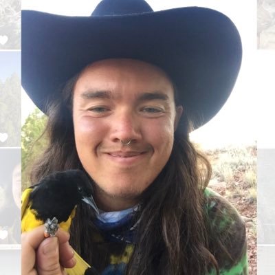 ecologist-artist studying dryland songbirds | they/them | PhD candidate-Streby lab | co-organizer @TWS_OiTF | drab bird enthusiast 🐦 🌵 🏳️‍🌈 🏳️‍⚧️ ⚧