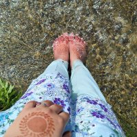 Sehar Bashir (@seharbashir3) 's Twitter Profile