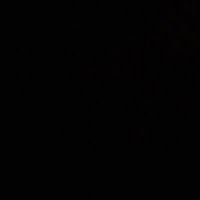 _alshonn💕 (@_alshonn) 's Twitter Profile