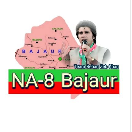 NA8_BajaurPTI Profile Picture