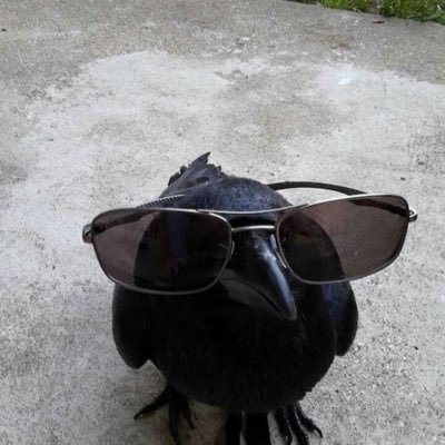 mknswlls's profile picture. 