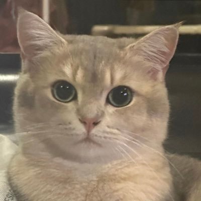 __hx1026's profile picture. 粉絲