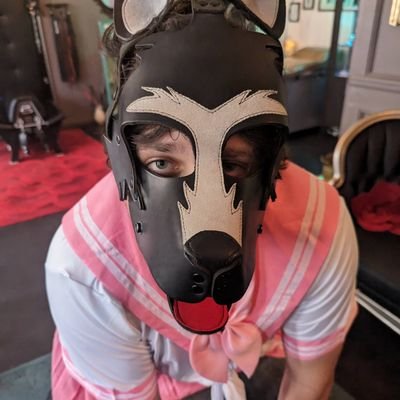 Stardust_Simp's profile picture. A kinky academic