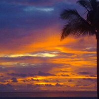 Lord N Perkins (@lordperkins) 's Twitter Profile Photo