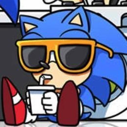 17 year old sonic main and speedrunner