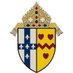 Darlington Ordinariate Group (@orddarlington) Twitter profile photo