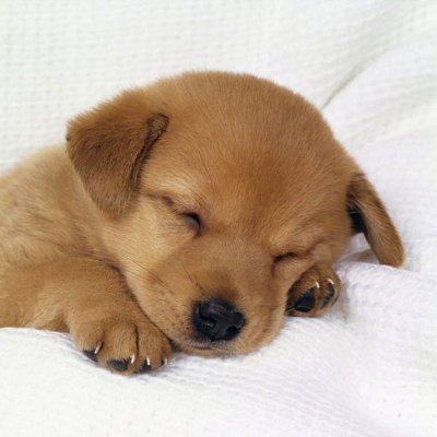 JTwiiter44568's profile picture. Game Dev