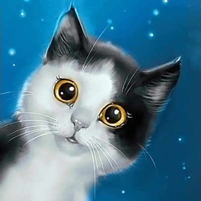 Stashevskovkius's profile picture. 