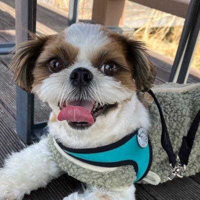 ssyy1n's profile picture. 