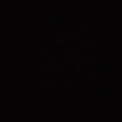 JSReptilesUK's profile picture.