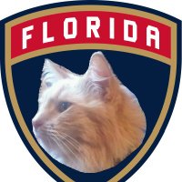 Nick Bush (@nickbushypp) 's Twitter Profile