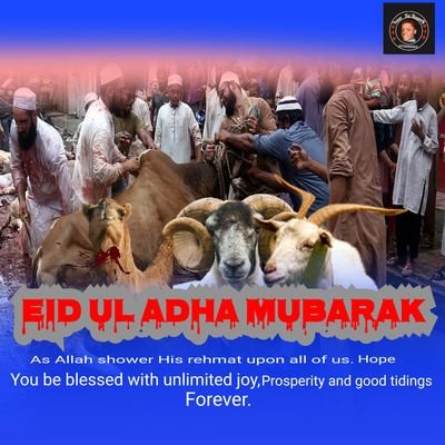 Yuien_Tai's profile picture. +260979990028