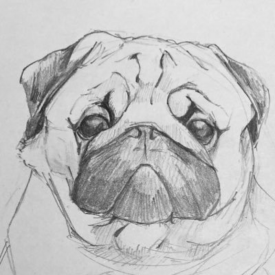 ぐみ低浮上中さんのプロフィール画像