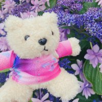 ユイ (@_y_u_i_13_) 's Twitter Profile